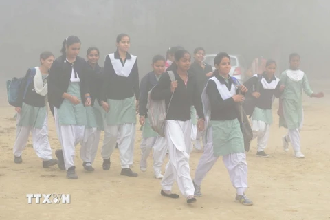 Trẻ em Ấn Độ đến trường trong bầu không khí mù mịt khói bụi ở Amritsar ngày 13/11. (Nguồn; AFP/TTXVN)