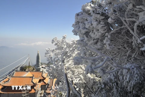 [Video] Tuyết phủ trắng đỉnh Fansipan thu hút hàng nghìn du khách