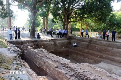 Các đại biểu tham quan điểm khai quật tại chùa Linh Sơn-thuộc Khu di tích Óc Eo, tại ấp Trung Sơn, thị trấn Óc Eo, huyện Thoại Sơn, tỉnh An Giang. (Ảnh: Công Mạo/TTXVN)