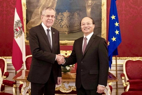 Tổng thống Cộng hòa Áo Alexander Van der Bellen tiếp Đại sứ Lê Dũng sau lễ trình Quốc thư. (Nguồn: Đại sứ quán Việt Nam tại Áo)