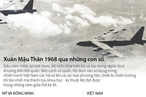 [Infographic] Chiến tranh Việt Nam đầu năm 1968 qua những con số