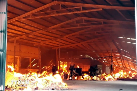Hỏa hoạn thiêu rụi hàng ngàn m2 nhà xưởng trong đêm ở Đồng Nai