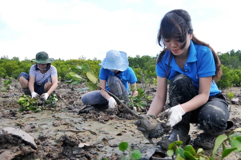 Đoàn viên thanh niên tham gia trồng rừng tại khu vực rừng phòng hộ huyện Cần Giờ, Thành phố Hồ Chí Minh. (Ảnh: An Hiếu/TTXVN)