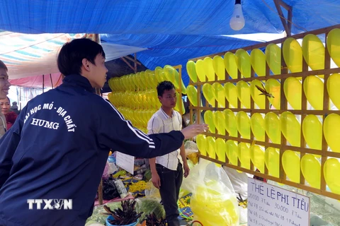 Trò chơi ăn tiền hoạt động công khai tại chợ Viềng Xuân, xã Trung Thành, huyện Vụ Bản (Nam Định). (Ảnh: Văn Đạt/TTXVN)