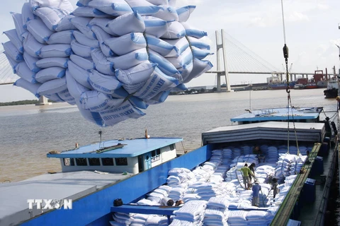 Bốc xếp gạo xuất khẩu sang thị trường Bangladesh tại cảng Sài Gòn. (Ảnh: Đình Huệ/TTXVN)
