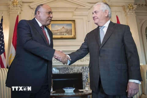 Ảnh tư liệu: Ngoại trưởng Mỹ Rex Tillerson (phải) và người đồng cấp Ai Cập Sameh Shoukry tại cuộc gặp ở Washington, DC, Mỹ ngày 27/2/2017. (Nguồn: AFP/TTXVN)
