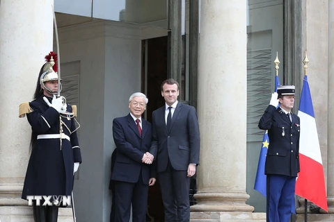 Hình ảnh Tổng thống Pháp đón, hội đàm với Tổng Bí thư Nguyễn Phú Trọng