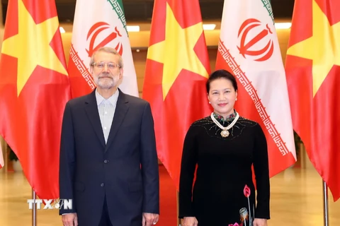 Hình ảnh Chủ tịch Quốc hội Iran thăm chính thức Việt Nam