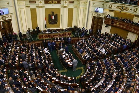 Quốc hội Ai Cập. (Nguồn: Reuters)