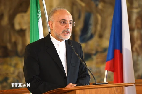 Người đứng đầu Cơ quan Năng lượng Nguyên tử Iran (AEOI), ông Ali Akbar Salehi. (Nguồn: AFP/TTXVN)