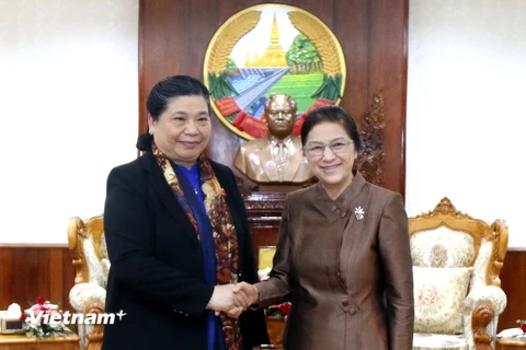 Chủ tịch Quốc hội Lào Pany Yathotou tiếp Phó Chủ tịch thường trực Quốc hội Tòng Thị Phóng. (Ảnh: Phạm Kiến/Vietnam+)