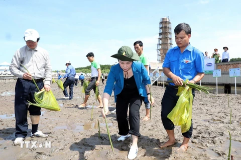 Hình ảnh Chủ tịch Quốc hội trồng cây và tặng sữa cho học sinh Cà Mau