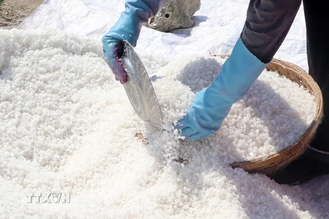 Muối Tuyết Diêm (xã Xuân Bình) nổi tiếng với chất lượng tốt. (Ảnh: Thế Lập/TTXVN)