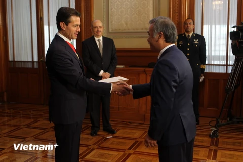 Đại sứ Nguyễn Hoài Dương trình Quốc thư lên Tổng thống nước chủ nhà, Enrique Peña Nieto. (Ảnh do Vụ báo chí Phủ Tổng thống cung cấp)