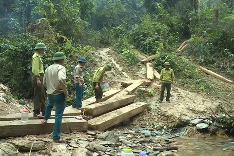 Vụ phá rừng quy mô lớn ở Quảng Bình: Kỷ luật 5 cán bộ kiểm lâm