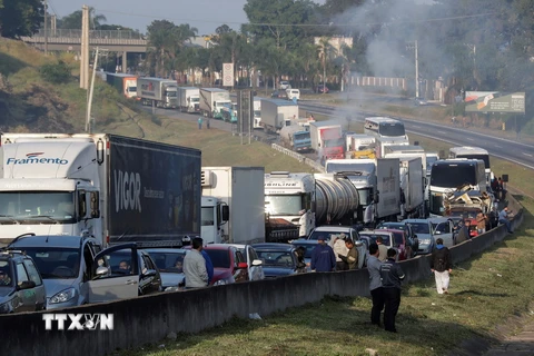 Các tài xế xe tải tham gia đình công yêu cầu giảm giá nhiên liệu tại Sao Paulo, Brazil ngày 24/5. (Nguồn: EPA/TTXVN)