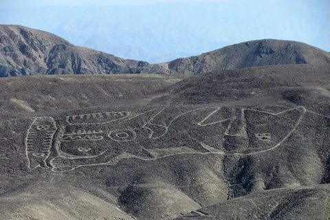 Một hình vẽ khổng lồ ở Palpa, Peru. (Nguồn: livescience.com)