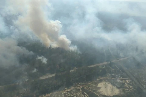 Khói bốc lên từ đám cháy rừng. (Nguồn: www.dsns.gov.ua )