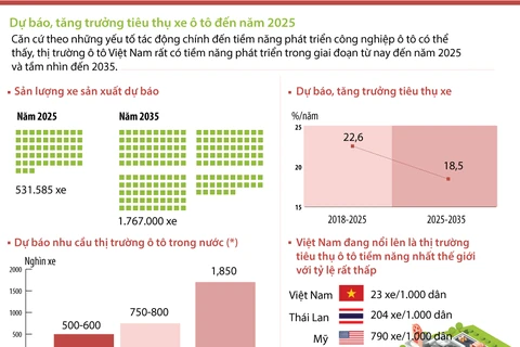 Dự báo tăng trưởng tiêu thụ xe ôtô ở Việt Nam đến năm 2025