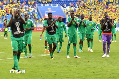 Các cầu thủ đội tuyển Senegal sau trận đấu với đội tuyển Colombia. (Nguồn: AFP/ TTXVN)