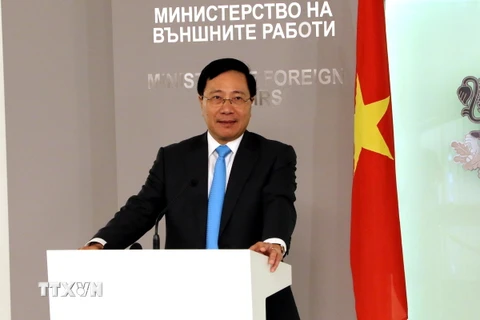 Phó Thủ tướng, Bộ trưởng Ngoại giao Phạm Bình Minh. (Ảnh: Ngự Bình/TTXVN)