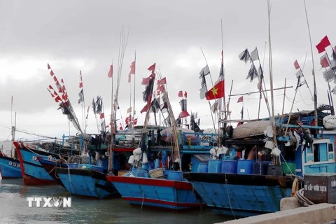 Tàu thuyền vào neo đậu tại cảng cá Cửa Sót huyện Lộc Hà, Hà Tĩnh để tránh trú áp thấp nhiệt đới gần bờ. (Ảnh Công Tường/TTXVN)