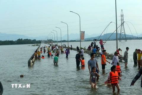 Tỉnh lộ ngập sâu, dân thôn ở Hà Nội nô nức đi bắt cá, cho trẻ ra bơi 
