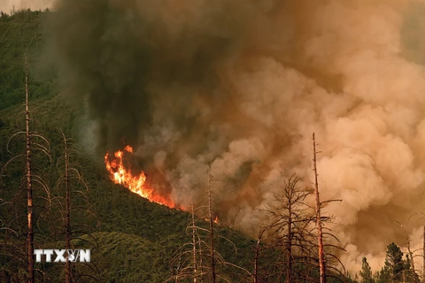 Khói lửa bốc lên từ đám cháy rừng ở vườn quốc gia Yosemite, bang California, Mỹ ngày 21/7. (Nguồn: AFP/TTXVN