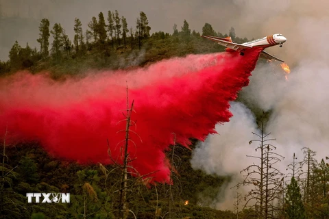 Máy bay tham gia dập lửa cháy rừng tại vườn quốc gia Stanislaus, California ngày 21/7. (Nguồn: AFP/TTXVN)