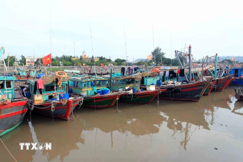Tàu, thuyền vào neo đậu tránh bão an toàn tại khu cảng cá Ngọc Hải, Đồ Sơn. (Ảnh: An Đăng/TTXVN)