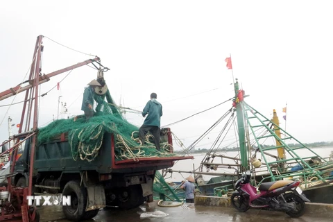 Ngư dân thị trấn Thịnh Long, huyện Hải Hậu, tỉnh Nam Định thu dọn ngư cụ về tránh bão. (Ảnh: Văn Đạt/TTXVN)