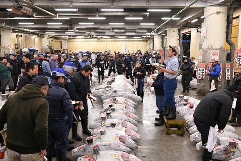 Chợ cá Tsukiji, Nhật Bản. (Nguồn: AFP)
