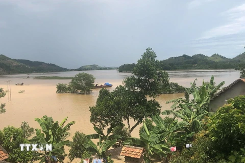 Nước thượng nguồn đổ về khiến 80% lúa và hoa màu của xã Nam Thượng, Nam Tân, Nam Trung của huyện Nam Đàn bị ngập nặng. (Ảnh: Bích Huệ/TTXVN)