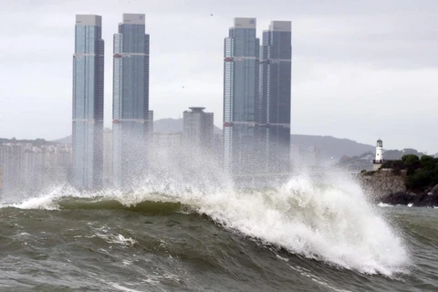 Sóng biển dâng cao tại thành phố cảng Busan, Hàn Quốc khi bão Soulik đổ bộ lên Bán đảo Triều Tiên ngày 23/8. (Nguồn: Yonhap/TTXVN)