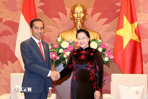 Chủ tịch Quốc hội Nguyễn Thị Kim Ngân tiếp Tổng thống Cộng hòa Indonesia Joko Widodo. (Ảnh: Trọng Đức/TTXVN)