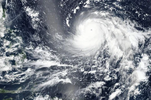 Siêu bão Mangkhut. (Nguồn: EPA)