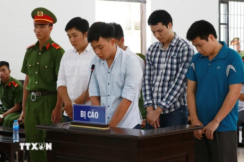 Các bị cáo được đưa ra xét xử tại Tòa án nhân dân tỉnh Ninh Thuận. (Ảnh: Nguyễn Thành/TTXVN)