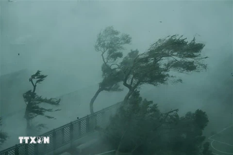 Gió lớn do ảnh hưởng của bão Mangkhut tại Hong Kong, Trung Quốc ngày 16/9. (Nguồn: THX/TTXVN)