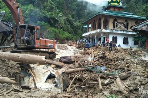 Hiện trường lở đất ở khu vực Mandailing Natal, tỉnh Bắc Sumatra, Indonesia. (Nguồn: AFP)