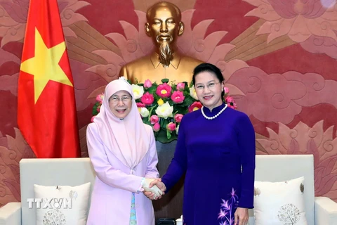 Chủ tịch Quốc hội Nguyễn Thị Kim Ngân tiếp Phó Thủ tướng Malaysia Datuk Seri Wan Azizah Wan Ismail. (Ảnh: Trọng Đức/TTXVN)