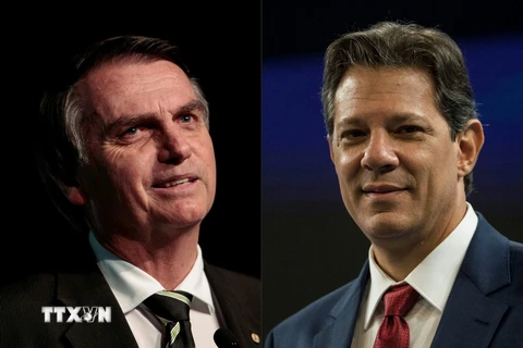 Ứng viên tranh cử Tổng thống của đảng Xã hội tự do (PSL) Jair Bolsonaro (trái) và ứng viên Tổng thống của đảng Lao động Brazil Fernando Haddad. (Nguồn: AFP/TTXVN)