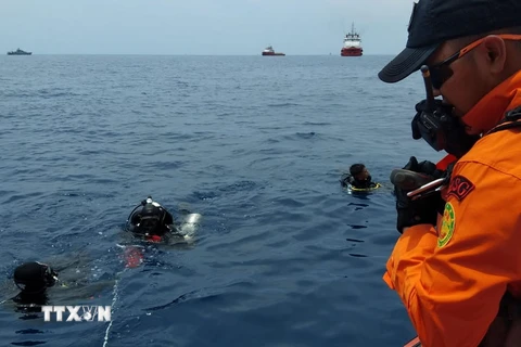 Thợ lặn thuộc Cơ quan cứu hộ và tìm kiếm quốc gia Indonesia tìm kiếm hộp đen máy bay mang số hiệu JT 610 của Hãng hàng không Lion Air bị rơi ở vùng biển Tây Java ngày 29/10/2018. (Nguồn: AFP/TTXVN)