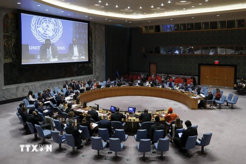 Một phiên họp của Hội đồng Bảo an. (Nguồn: THX/TTXVN)