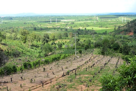 Nhiều sai phạm tại các ban quản lý rừng phòng hộ tỉnh Gia Lai
