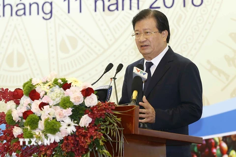 Phó Thủ tướng Trịnh Đình Dũng phát biểu ý kiến. (Ảnh: Doãn Tấn/TTXVN)