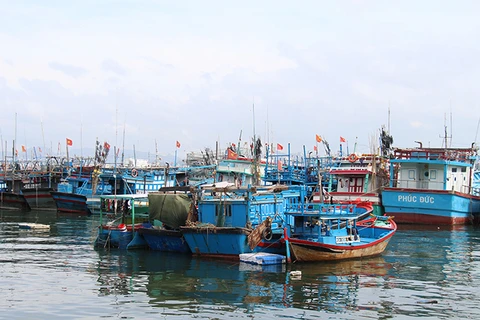 Tàu cá của ngư dân Khánh Hòa trong âu thuyền tránh bão. (Nguồn: khanhhoa.gov.vn)
