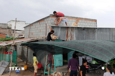 Người dân ven biển phường Đông Hải, thành phố Phan Rang-Tháp Chàm khẩn trương chằng chống nhà cửa ứng phó mưa bão. (Ảnh: Công Thử/TTXVN)