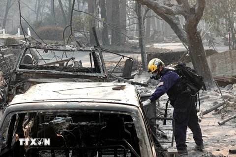 Lực lượng cứu hộ tìm kiếm nạn nhân sau vụ cháy rừng tại Paradise, California ngày 18/11/2018. (Nguồn: THX/TTXVN)