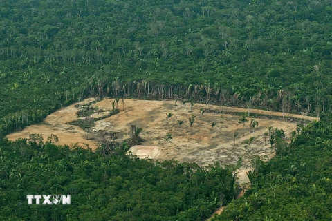 Ảnh tư liệu: Khoảng rừng Amazon bị chặt phá, ngày 22/9/2017. (Nguồn: AFP/TTXVN)