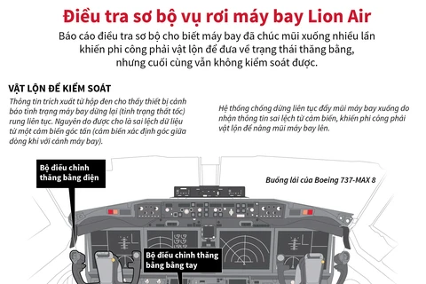 [Infographics] Điều tra sơ bộ vụ rơi máy bay Lion Air